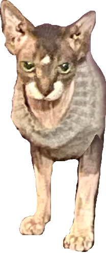Dracula